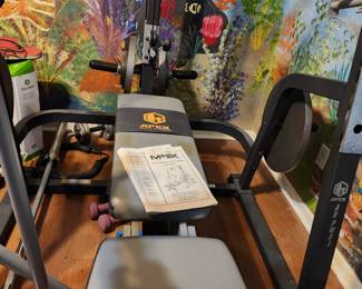 APEX Workout Bench 