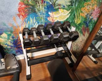 Hand Weights with Stand