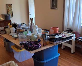 Lamps, frames, home goods