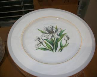 View of Dinner plate