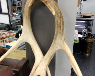 Deer tines
