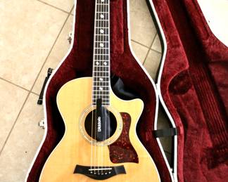 Guitar and case: Taylor Guitars