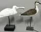 Lot 41 Shorebird Wood Decoys