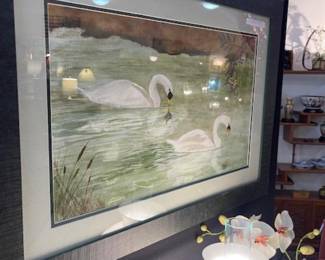 Swan watercolor, listed artist