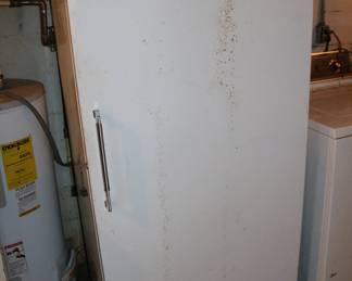 Upright freezer
