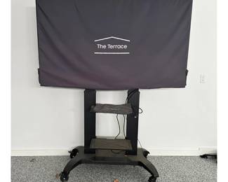 Samsung The Terrace Outdoor TV with Stand