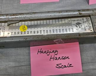 Hansen Hanging Scale