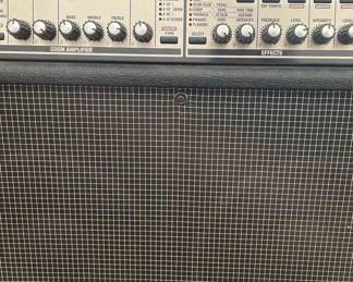 2 Roland VGA7 Guitar Amplifier On Wheels
