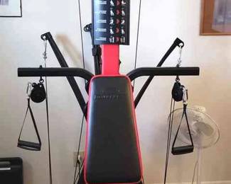Bowflex PR3000 W Weights