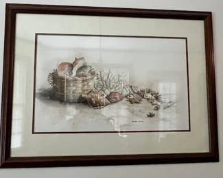Shell pictures