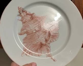 Shell Dishes