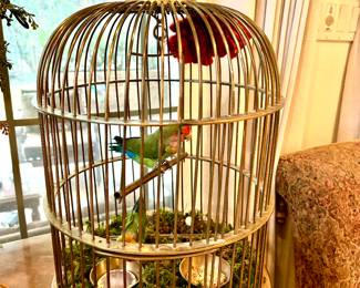 Rare collection of vintage brass bird cages