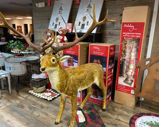 THE Cutest Reindeer Ever!!