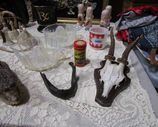Crocodile, jaw, skull and some vintage glass