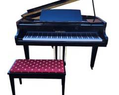 Fantastic Horugel Black Lacquer Baby Grand Piano CLEAN with Bench - Excellent Condition SG-140A

