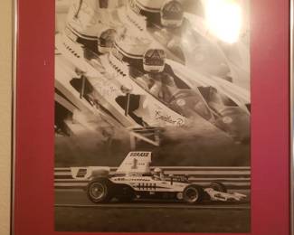 Borax Racing Picture