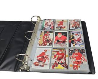 NHL Hockey Goalies Trading Cards Lot: Redwings Blues Islanders Chris Osgood Metallic Cards in Album