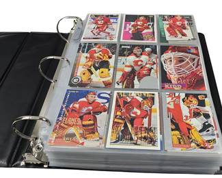 NHL Hockey Goalies Trading Cards by Album Alphabetically Sorted K-L