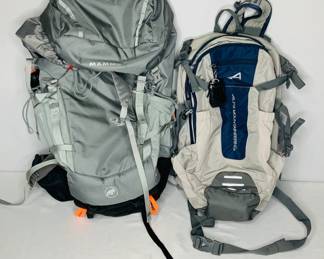 Mammut Backpack and Alps Mountaineering Daypack