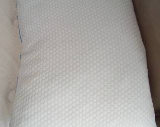 DAMN NICE PILLOWS, NO STAINS, LOOK LIKE NEVER USED, HELL I WANT THEM.