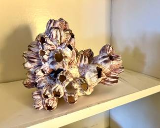 Natural Pink Barnacle 