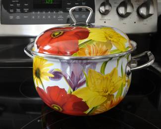 Retired 9" Enamel Stock Pot by Pioneer Woman