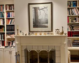 Fire place screen, fire poker set, Unique Mom & kitten set, brass collection from world travels, books from an avid reader on many topics.