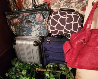 Luggage - Artificial Plants