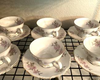 Mitterteich china cups & saucers - "Springtime" - from Germany