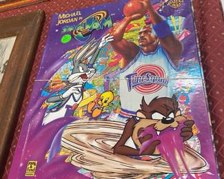 Michael Jordan Space Jam Look and Find