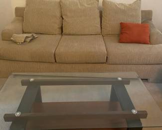 Nice Couch With Coffee Table