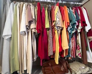 Teeshirts ready for summer.  Many are Ann Taylor, Chico, TJMaxx, Coldwater Creek.