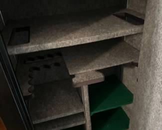 inside gun safe