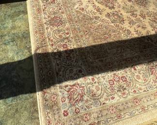 8x10' (approx) area rug