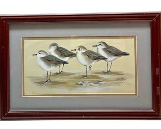 Framed And Signed Seagull Art - 12x19