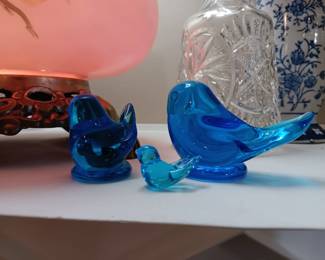 Blue birds