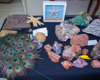 Rocks from Sedona, peacock feathers