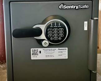 Sentry Safe