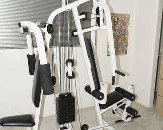 ParaBody EX350 Home Gym