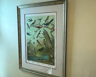 Audubon Bird Print