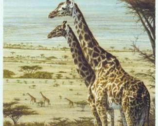 Dennis Curry Kingdom of Dreams