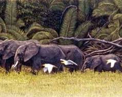 Dennis Curry Signed Elephant Walk Mylar Lithograph