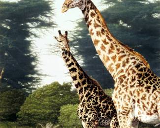 Dennis Curry Giraffes of Manyara Mylar Lithograph