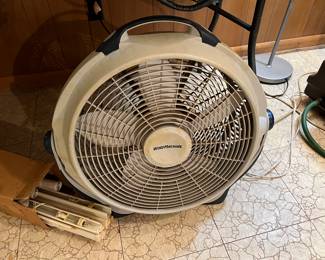 fan