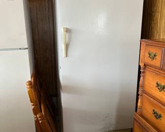 Woods upright freezer