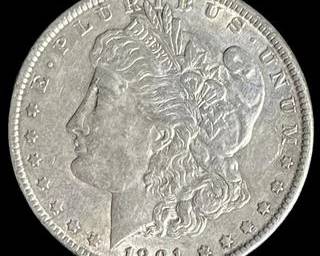 wIMG 2685 t