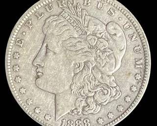 wIMG 2661 t