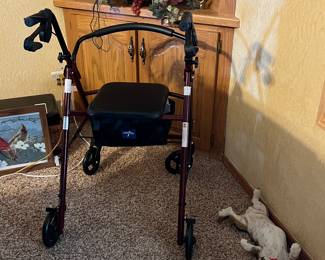 Rollator Walker