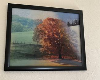 Coolest picture ever!  As you walk past it the leaves on the tree change from gold to green to white - as the seasons change!