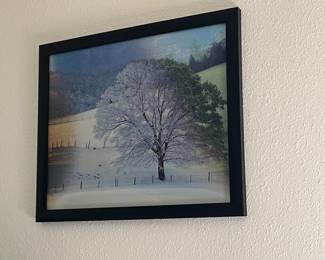 Coolest picture ever!  As you walk past it the leaves on the tree change from gold to green to white - as the seasons change!